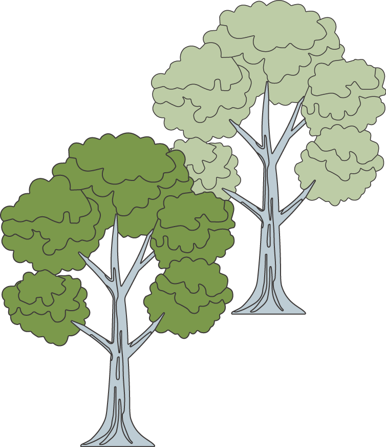 木オブジェクト